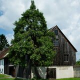 Fraunhofer Glashütte